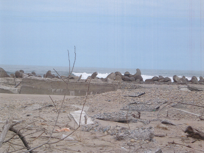 �h�g�炪���S�ɕ���